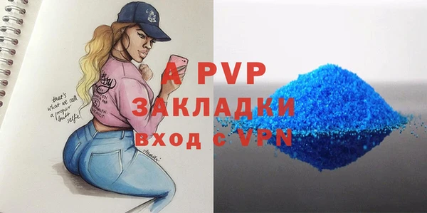 шишки Гусиноозёрск