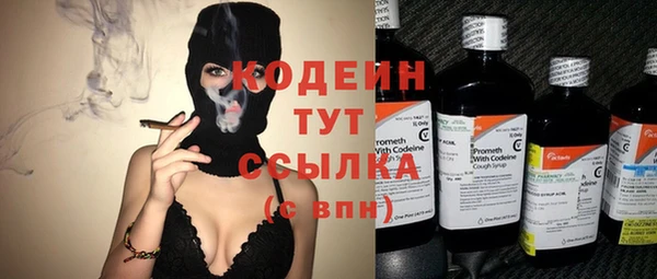 шишки Гусиноозёрск