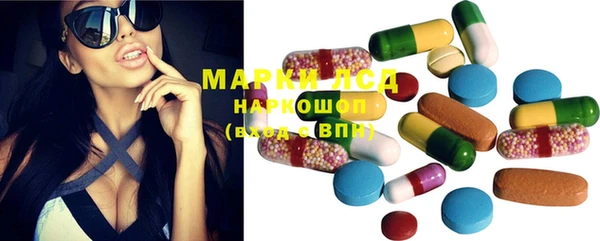 PSILOCYBIN Гусев