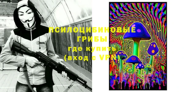 шишки Гусиноозёрск