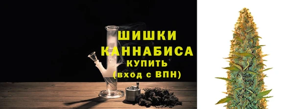 шишки Гусиноозёрск