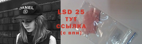 PSILOCYBIN Гусев
