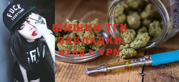 PSILOCYBIN Гусев