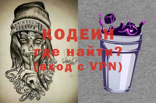 шишки Гусиноозёрск