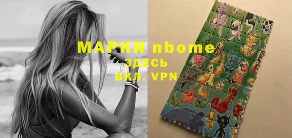 шишки Гусиноозёрск