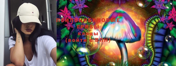 шишки Гусиноозёрск
