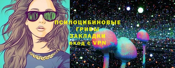 PSILOCYBIN Гусев
